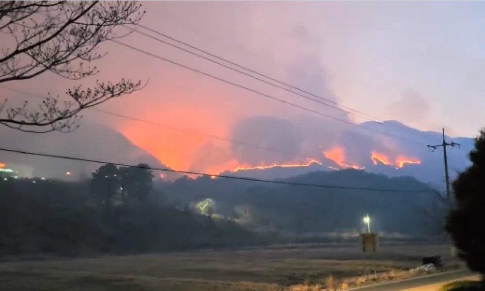 Πανω από 20 πυρκαγιές μαίνονται στη στη Νότια Κορέα - Δύο πυροσβέστες νεκροί